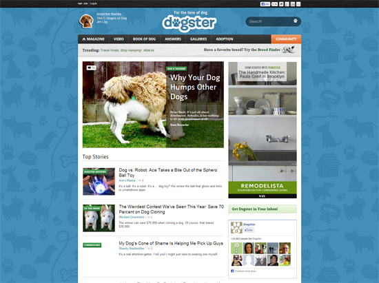 Dogster